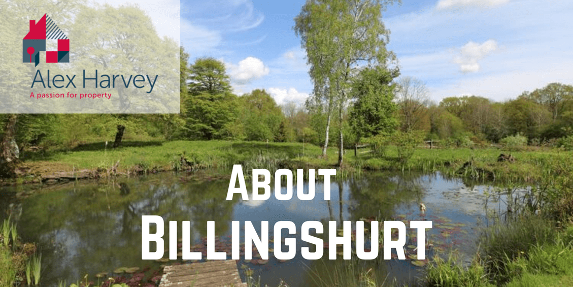 About Billingshurst